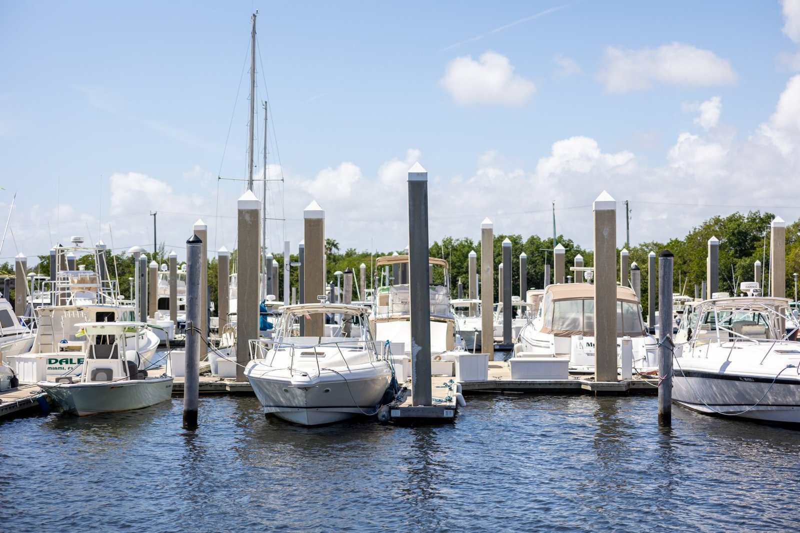 StockSnap_VBZO6FHEB2