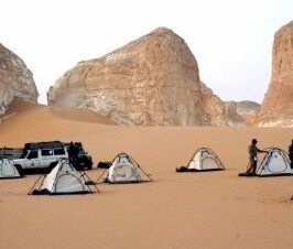 Safari in Baharyia Oasis Tour Package (6 Days)