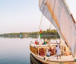 Felucca Ride & Aswan Botanical Garden